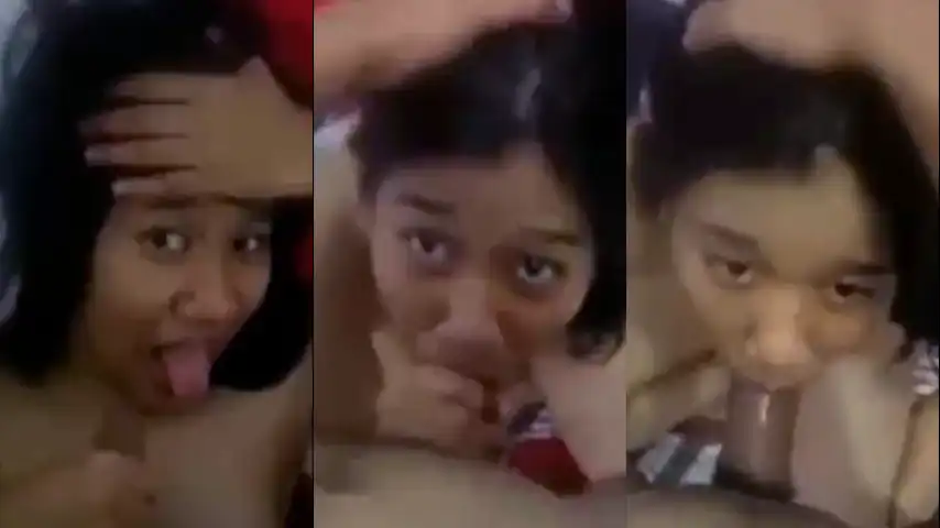 ABG Amatiran Sepong Kontol Ayang