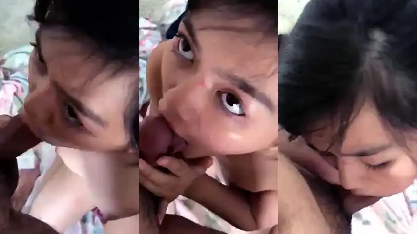 Cindo Kulum Kontol Crot Pejuh Dimulut