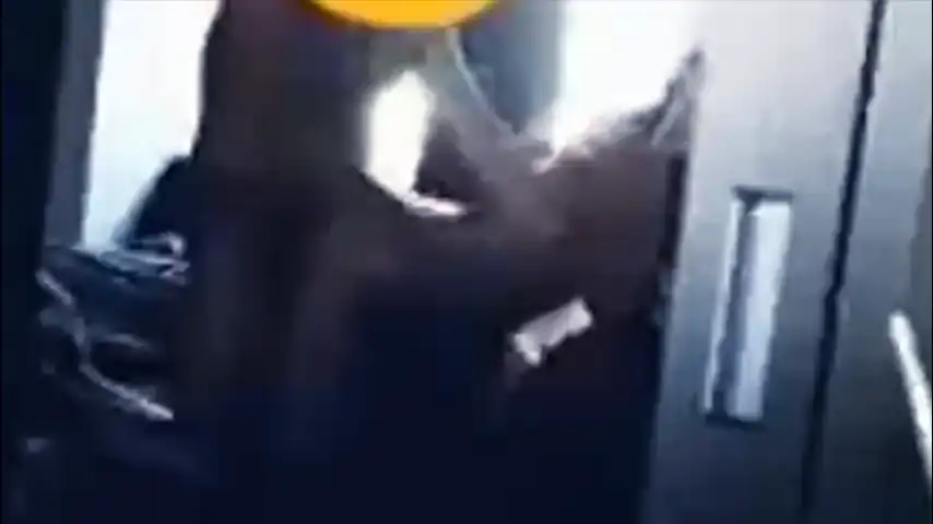 Doggy Cewe Seksi Sambil Direkam