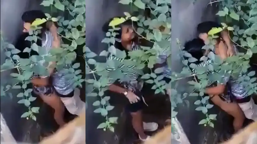 Ngintip ABG Mesum Dibalik Semak-semak